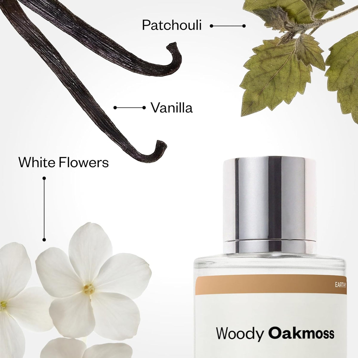 Dossier Woody Oakmoss Eau de Parfum 50ml Inspired by Coco Mademoiselle